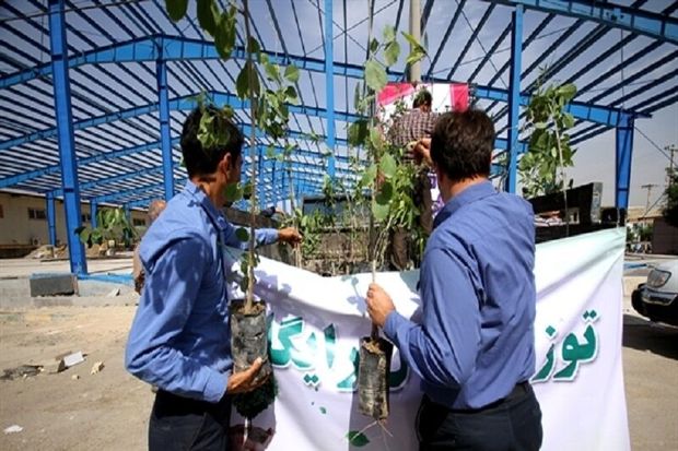 ۱۰ هزار اصله درخت در دماوند توزیع می‌شود