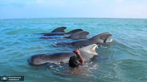 منتخب تصاویر امروز جهان - 23 بهمن 1401