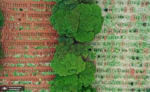 منتخب تصاویر امروز جهان- 3 خرداد 1400