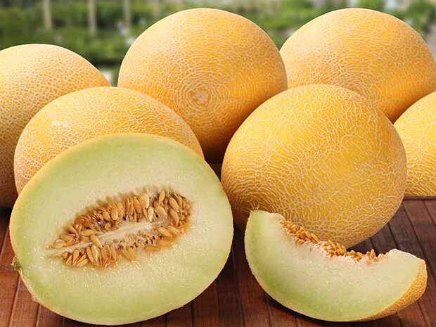 خواص شگفت انگیز مصرف مِلون
