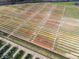 منتخب تصاویر امروز جهان- 6 اردیبهشت 1400