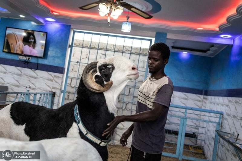 منتخب تصاویر امروز جهان- 28 تیر 1400