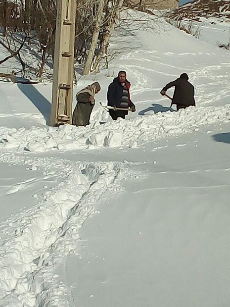 مشکل قطعی آب شرب ۳۰ روستای خلخال برطرف شد