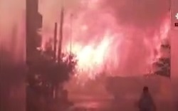 آتش‌سوزی جنگل‌های ازمیر ترکیه + فیلم