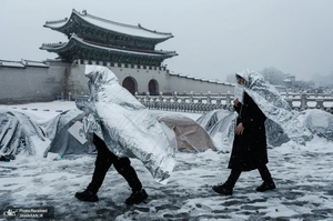 منتخب تصاویر امروز جهان - 28 اسفند 1403