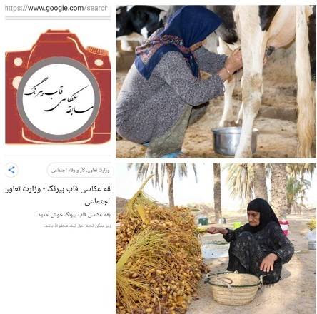 موفقیت عکاس دشتی بوشهر درجشنواره ملی عکس قاب بی رنگ