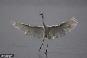 منتخب تصاویر امروز جهان- 2 اردیبهشت 1400