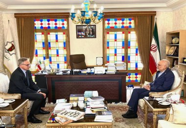 سفیر آلمان با رئیس بنیاد ایران‌شناسی دیدار و گفت‌وگو کرد