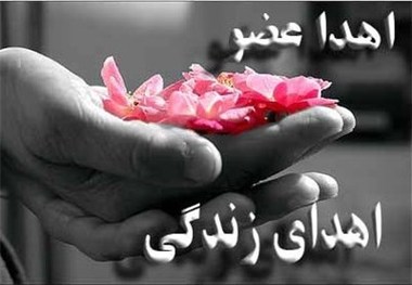 اهدای عضو در یزد به سه بیمار زندگی دوباره بخشید