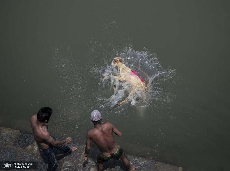 منتخب تصاویر امروز جهان- 21 تیر 1400