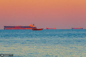 پارک زیتون قشم