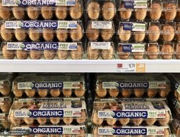 منتخب تصاویر امروز جهان - 2 بهمن 1401