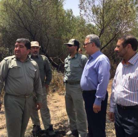 150 هکتار از جنگل های شوش سوخت