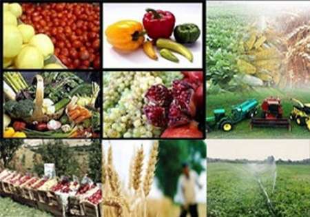 دوره های آموزشی علمی کاربردی برای کشاورزان شرق اصفهان برگزار می شود