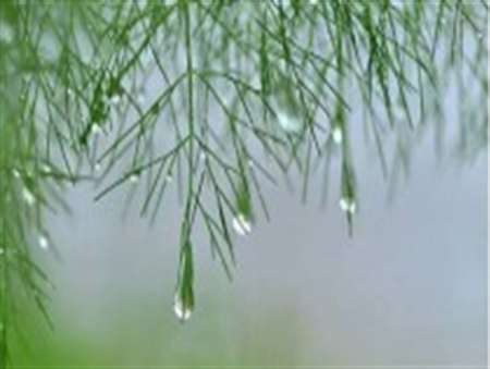 ورود سامانه بارشی از اواخر روز جمعه به کردستان  باغداران و کشاورزان مراقب کاهش دما باشند