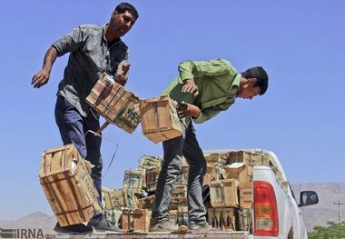 محموله چای قاچاق در مهاباد کشف شد