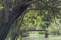 رودخانه لیطانی / لیتانی