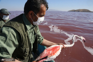 منتخب تصاویر امروز جهان- 18 تیر 1400