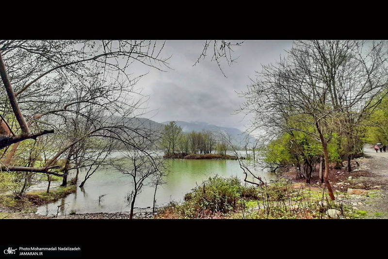 دریاچه آویدر نوشهر