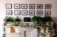 پرسه در خانه امید (14)