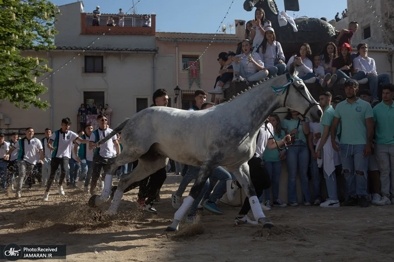 منتخب تصاویر امروز جهان - 12 و 13 اردیبهشت 1404