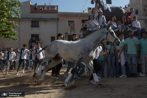 منتخب تصاویر امروز جهان - 12 و 13 اردیبهشت 1404