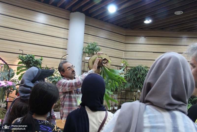 نمایشگاه گل و گیاه (94)