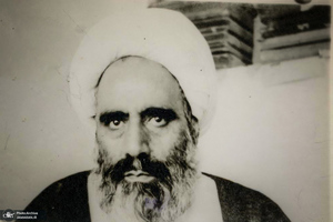 علامه امینی(ره)