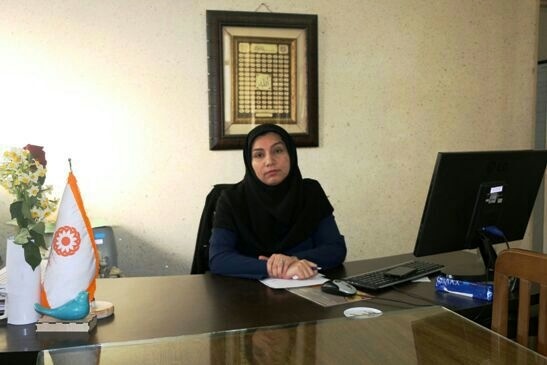 راه‌اندازی 4 گروه همیار زنان سرپرست خانوار در قزوین تا پایان امسال