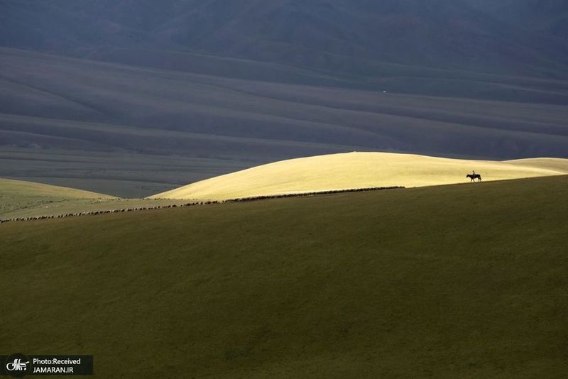 منتخب تصاویر امروز جهان- 30 تیر 1400