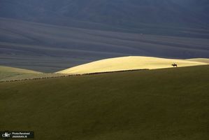 منتخب تصاویر امروز جهان- 30 تیر 1400