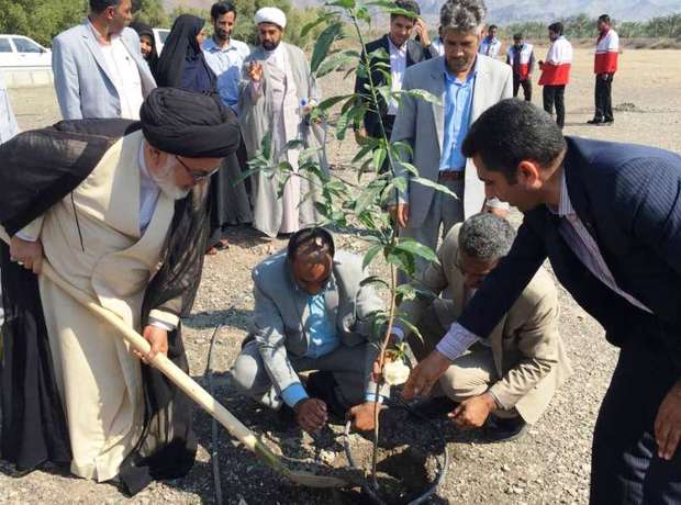 کاشت 300 اصله نهال در رودان همزمان با روز درختکاری