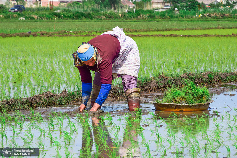 منتخب تصاویر امروز جهان-7 خرداد 1400