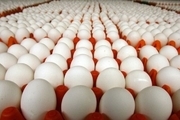 تولید حدود چهار هزار تن تخم‌مرغ در سیستان و بلوچستان