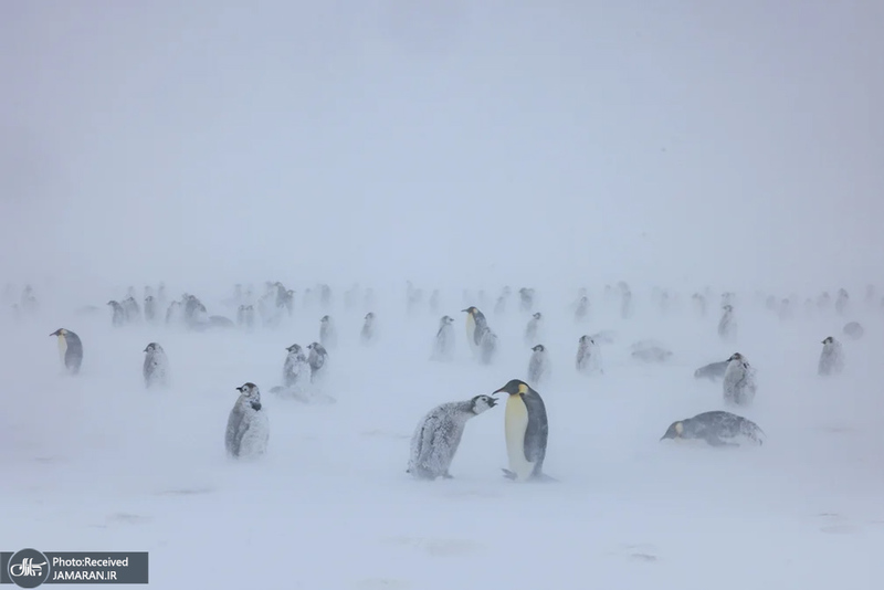 منتخب تصاویر امروز جهان - 2 اردیبهشت 1404