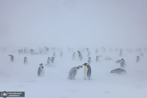 منتخب تصاویر امروز جهان - 2 اردیبهشت 1404