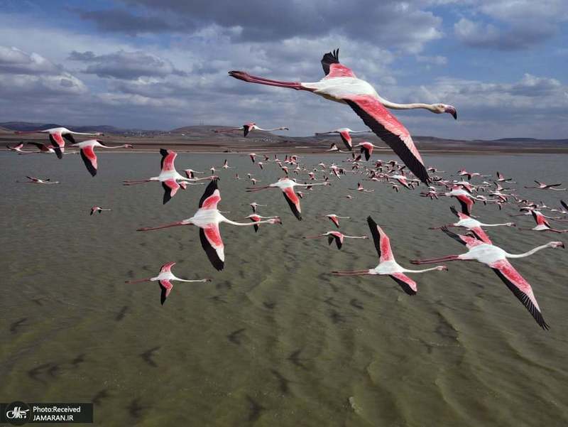 منتخب تصاویر امروز جهان- 17 فروردین 1400