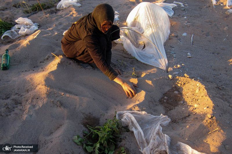 منتخب تصاویر امروز جهان- 7 بهمن