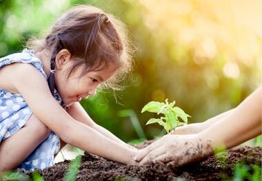 روش هایی برای آموزش دوستی با طبیعت به کودکان