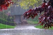 میانگین بارش باران در لرستان به 98 میلی متر رسید