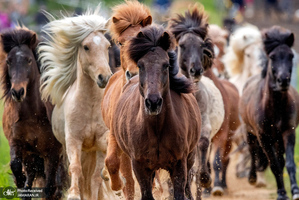 منتخب تصاویر امروز جهان- 27 اردیبهشت 1400