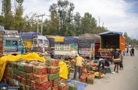 کشاورزان میوه کشمیر با ضررهای هنگفتی مواجه شدند (7)