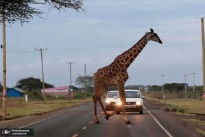 منتخب تصاویر امروز جهان- 14 اسفند