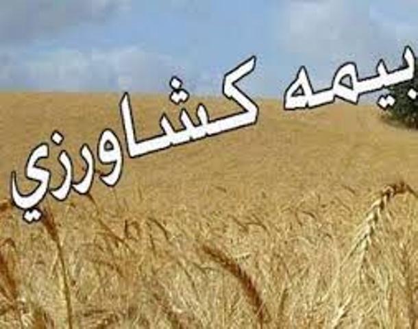 طلب 100 میلیارد ریالی بهره برداران خراسان جنوبی از صندوق بیمه کشاورزی