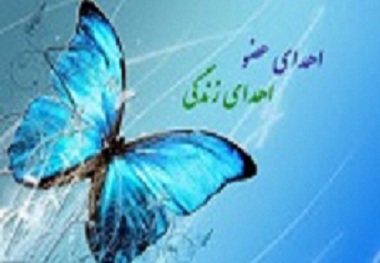 اعضای بدن کودک مرگ مغزی جان یک بیمار را نجات داد