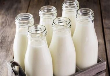 شیر چاق‌کننده است؟