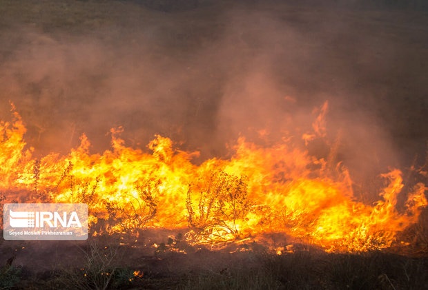 ۸۰ نخل روستای بندان خراسان جنوبی در آتش سوخت