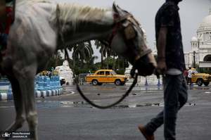 منتخب تصاویر امروز جهان- 24 تیر 1400