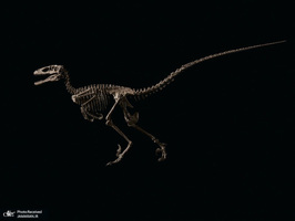 منتخب تصاویر امروز جهان - 24 اردیبهشت 1401