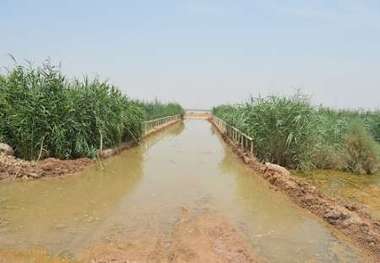 ساماندهی زهکش های منطقه دشت آزادگان آغاز شد